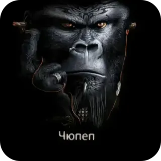 📖 dfcb6003 Чюпеп 고릴라, 이어폰, 동물, 유인원, 음악 telegram sticker