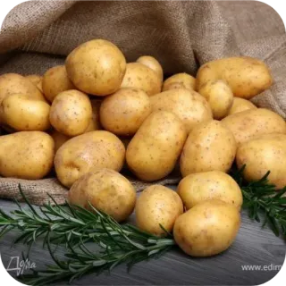 👍 efb68592 Дома 감자, 채소, 음식, 농산물, 요리 재료, 뿌리채소 telegram sticker