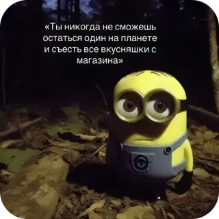 сырная хачапурда whatsapp stickers