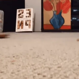 🤩 12721083 telegram sticker