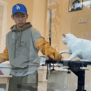 🤩 947f1707 telegram sticker