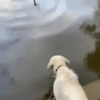 🤩 045c7f93 telegram sticker