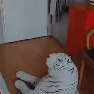 🤩 0acff2d8 tigre, branco, deitado, animal, mamífero, móvel telegram sticker