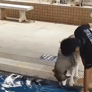 🤩 25e2a6a5 telegram sticker