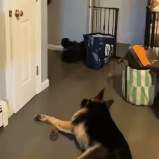 🤩 4fdbf1b4 telegram sticker