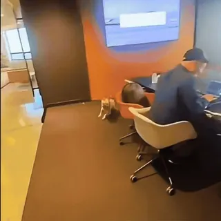 🤩 9b018681 telegram sticker