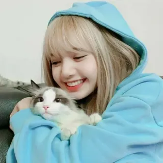 🐈‍⬛️ 04845101 Lisa người, phụ nữ, mèo, dễ thương, nụ cười, thú cưng, áo hoodie telegram sticker