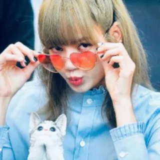 😎 3553b78b phụ nữ, kính râm, trái tim, mèo, chân dung, người telegram sticker