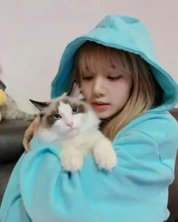 🐈‍⬛️ 4daa2bab Lisa Lisa, Blackpink, K-pop, mèo, áo hoodie, thần tượng, phụ nữ, người nổi tiếng telegram sticker