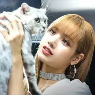 🐈‍⬛️ 86c5e7cb mèo, phụ nữ, thú cưng, chân dung, mèo bạc, Lisa telegram sticker