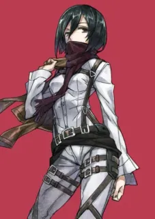 🔪 fe7e17c3 Mikasa Ackerman Attack on Titan Anime, Militar, Ação, Mikasa, Ackerman, Ataque dos Titãs, Personagem whatsapp sticker