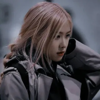 😊 638813fb Rosé Rosé, Blackpink, K-Pop, Sängerin, Idol telegram sticker