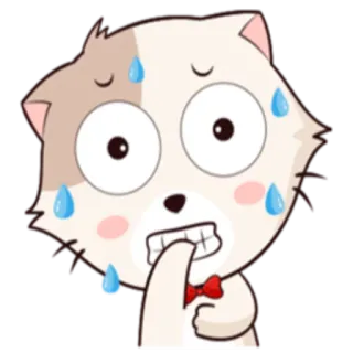 😰 d4f293cf แมว, ประหม่า, เหงื่อออก, กังวล, อีโมจิ, สติกเกอร์ telegram sticker