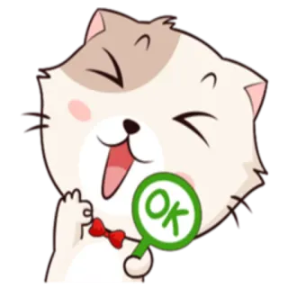 👌 e8f3901b OK แมว, โอเค, สัตว์, สติกเกอร์, น่ารัก, อนุมัติ, บวก telegram sticker