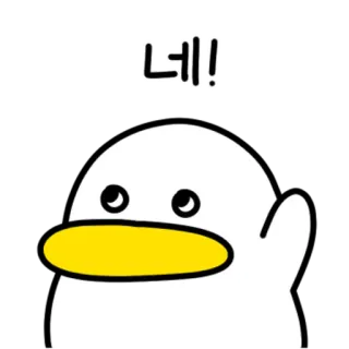 💬 69b780a0 네! pato, desenho animado, fofo, coreano, afirmativo, sim whatsapp sticker
