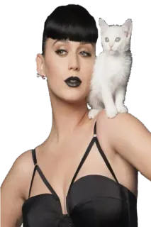 🐾 00353811 Katy Perry นักร้องเพลงป็อป, คนดัง, ลูกแมว, แมว, สัตว์ telegram sticker