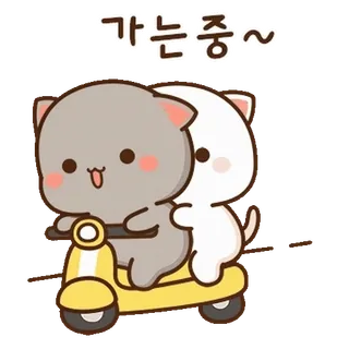 💬 77d8710f 가는중~ 猫, 猫咪, 滑板车, 可爱, 卡哇伊, 骑, 动物 telegram sticker