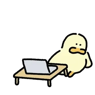 💬 568619f6 เป็ด, คอมพิวเตอร์, แล็ปท็อป, การ์ตูน, สัตว์, นั่ง, โต๊ะ whatsapp sticker