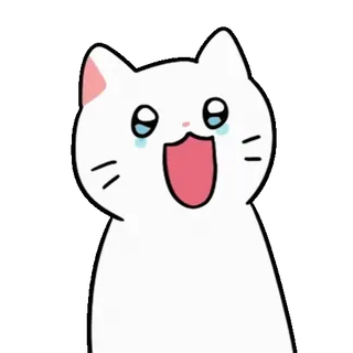 💬 460c7c73 chat, mème, drôle, chat blanc, pleurer, rire whatsapp sticker