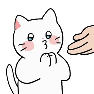 💬 e2d21104 chat, mignon, kawaii, suppliant, implorant, animal whatsapp sticker
