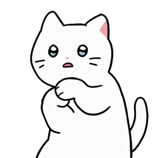 💬 f05b9df8 chat, chaton, mignon, blanc, animal, animal de compagnie, kawaii whatsapp sticker