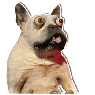 Упоротый пёс telegram stickers