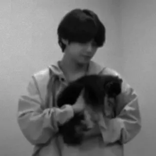 ▪️ f6812c3a mann, hund, süß, haustier, graustufen, drinnen telegram sticker