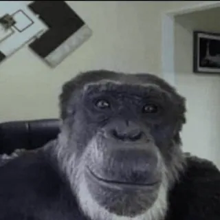 STORM Chat 7TV Emotes @old_STORM whatsapp stickers