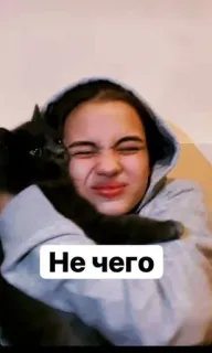 🌟 5db18068 Не чего кот, милый, девушка, объятие, животное telegram sticker