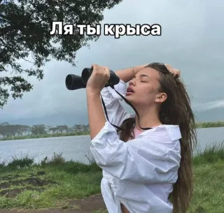 🌟 8f06b558 Ля ты крыса бинокль, девушка, пейзаж, смотрит, русский telegram sticker