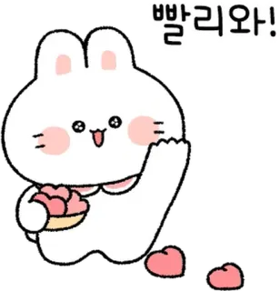💬 3cbaae0a 빨리와! coelho, fofo, desenho animado, animal, kawaii whatsapp sticker