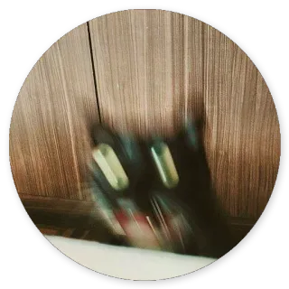 😬 ffdcbb3a kot, zwierzę, czarny kot, zwierzę domowe telegram sticker