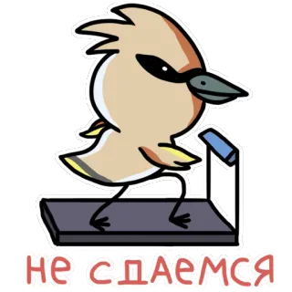 strange birds telegram stickers