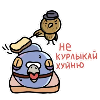 😮 c348d6fb НЕ КУРЛЫКАЙ ХУЙНЮ vogel, duif, hoed, beledigend telegram sticker
