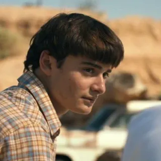 😐 debfce81 Will Byers Stranger Things Will Byers, Stranger Things, portrait, television series, nostalgia telegram sticker