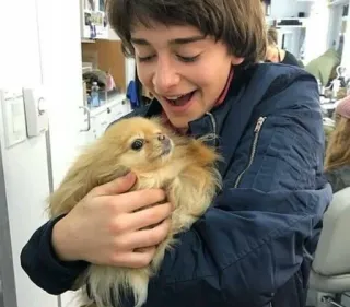 😆 25ee1887 person, hund, lächelnd, drinnen telegram sticker