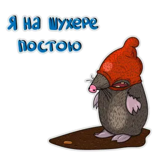 😡 2b356209 Я на шухере постою ตัวตุ่น, หมวก, รัสเซีย, ตลก, การ์ตูน telegram sticker