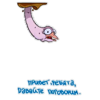 🖐 706d36e1 ПРИВЕТ, РЕБЯТА, ДАВАЙТЕ ПОГОВОРИМ. นกกระจอกเทศ, การ์ตูน, ทักทาย, พูด, ตลก, สัตว์ telegram sticker