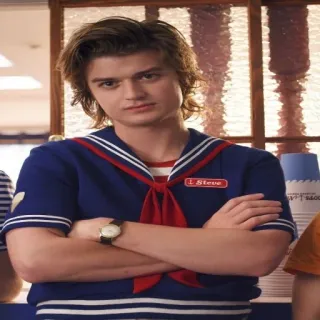 😒 4ceaec23 Steve Harrington Stranger Things Steve スティーブ・ハリントン, ストレンジャー・シングス, テレビ番組, キャラクター, 船員服 whatsapp sticker