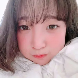 🦢 d28c8eb0 portrait, femme, visage, personne, selfie telegram sticker