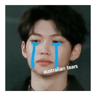 😔 765da492 australian tears ミーム, 涙, 悲しい, オーストラリア whatsapp sticker
