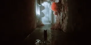🐈 5516421f Stray chat, jeu vidéo, cyberpunk, dystopie, couloir whatsapp sticker
