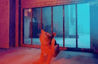 🐱 687e1665 Stray chat, jeu vidéo, animal, cyberpunk, futur, orange whatsapp sticker