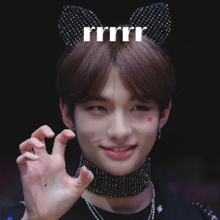 🐯 976a7117 rrrrr kpop, kocie uszy, idol, osoba, piosenkarz, uroczy, portret telegram sticker