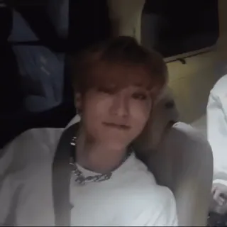 🤍 1357f219 whatsapp sticker