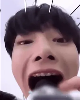 🙀 d3cd5852 whatsapp sticker