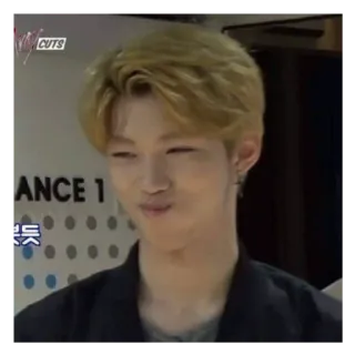 😏 8931cf21 Felix kpop, straykids, felix, meme, lustig whatsapp sticker