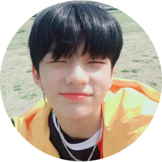 😑 71f7b631 cậu bé, chân dung, người đàn ông, người, khuôn mặt, nụ cười whatsapp sticker