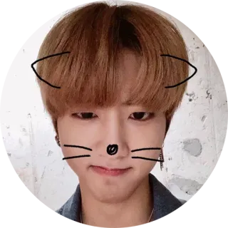 😠 c94f3b62 mèo, tai, ria, dễ thương, bộ lọc, ảnh tự sướng, người whatsapp sticker