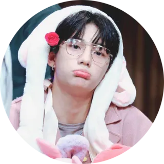 😖 cdf72ec2 k-pop, dễ thương, kính, thỏ, thần tượng, châu Á, hoa hồng whatsapp sticker